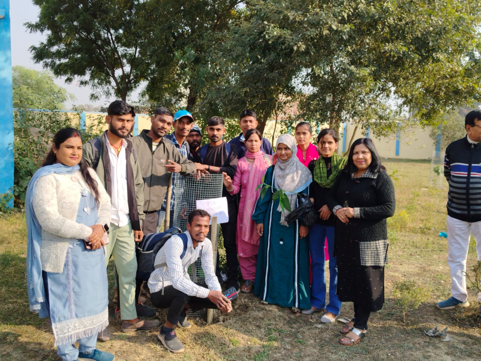 Tree Plantation